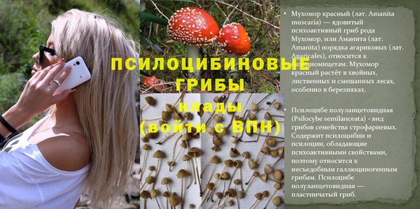 ешки Алексин