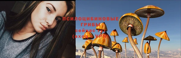 ешки Алексин
