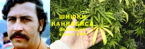 ешки Алексин