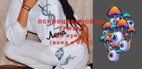 ешки Алексин